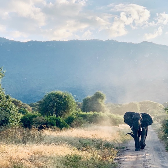 Meet your Posher, Julia - Picture 2 of 8